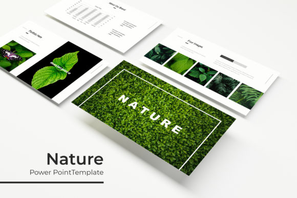 Nature Power Point Template: What You Need to Know Before You Buy